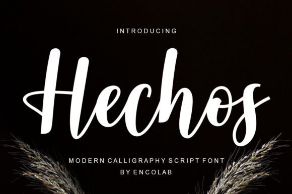 Hechos: The Handwritten Script Font for Modern Campaigns