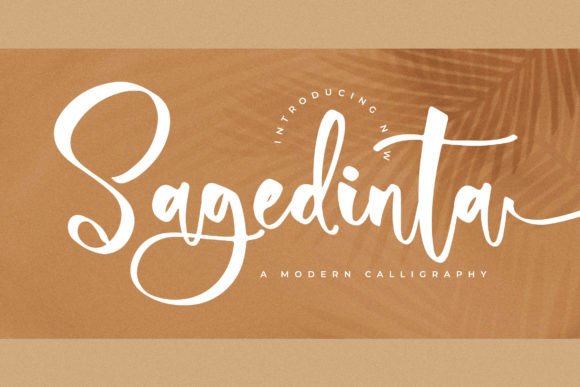 Sagedinta: The Modern Script Font That Elevates Your Brand Identity